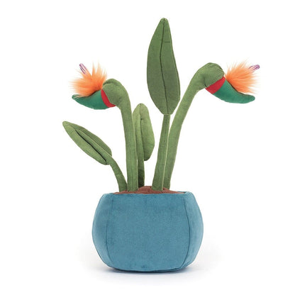 Jellycat Amuseable - Bird of Paradise - Discontinued plush toy – Auraplush™
