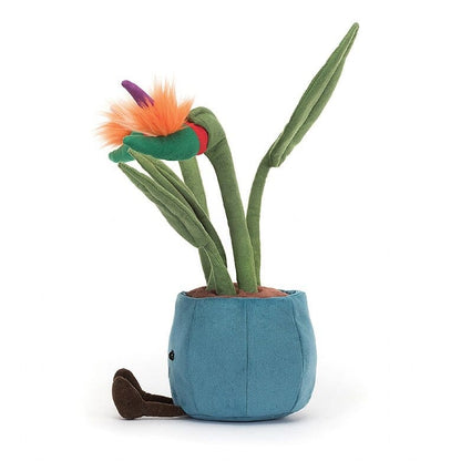 Jellycat Amuseable - Bird of Paradise - Discontinued plush toy – Auraplush™